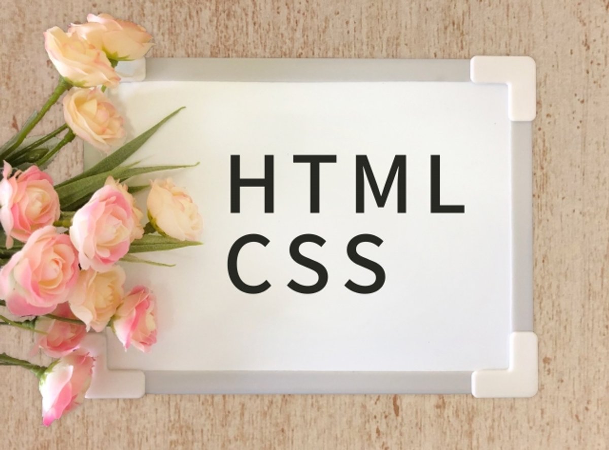CSS初心者必見！Webデザインの基本をマスターする5つのステップ